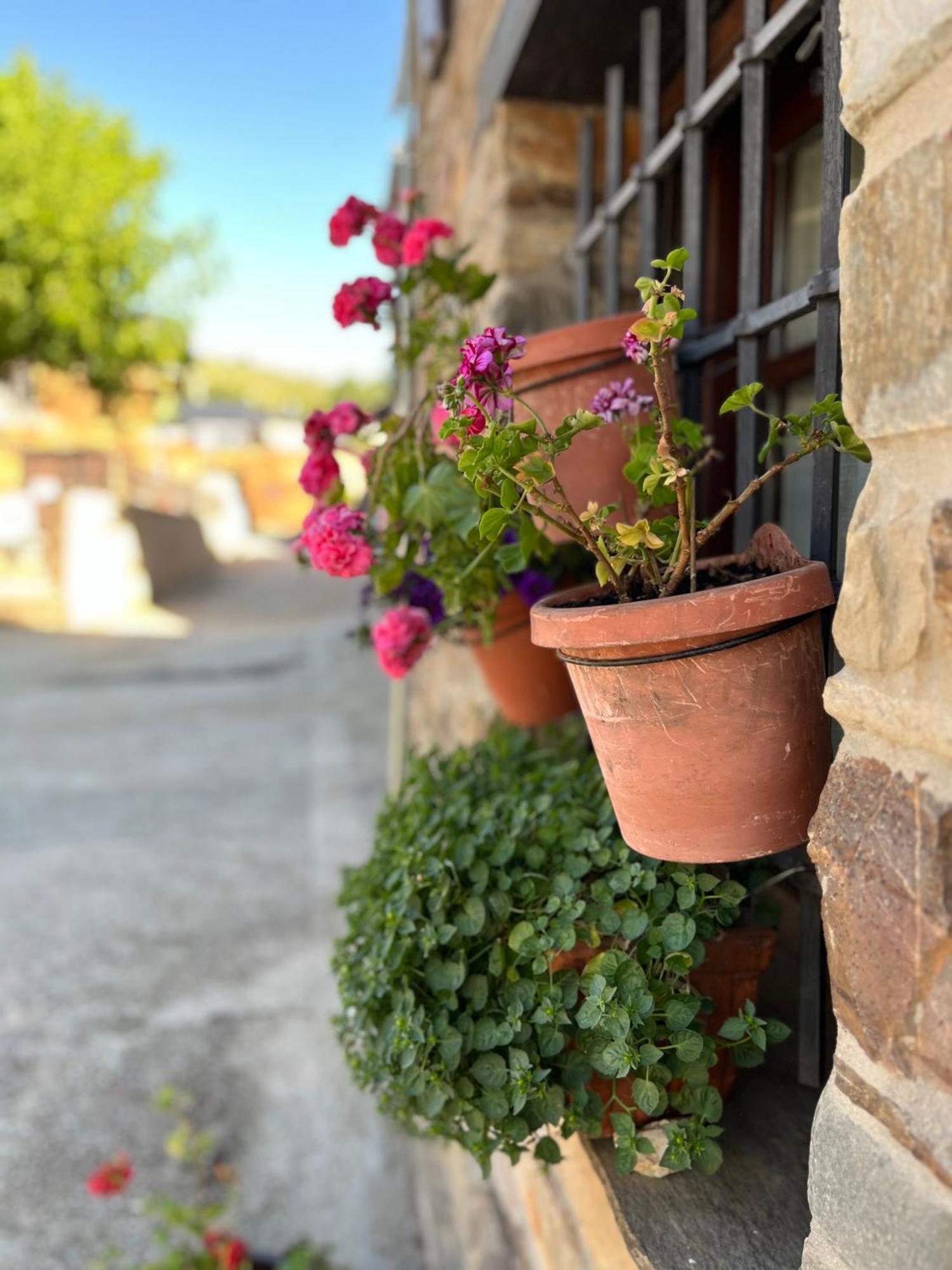 La Casina De Gelo Villa Riego de Ambros Dış mekan fotoğraf