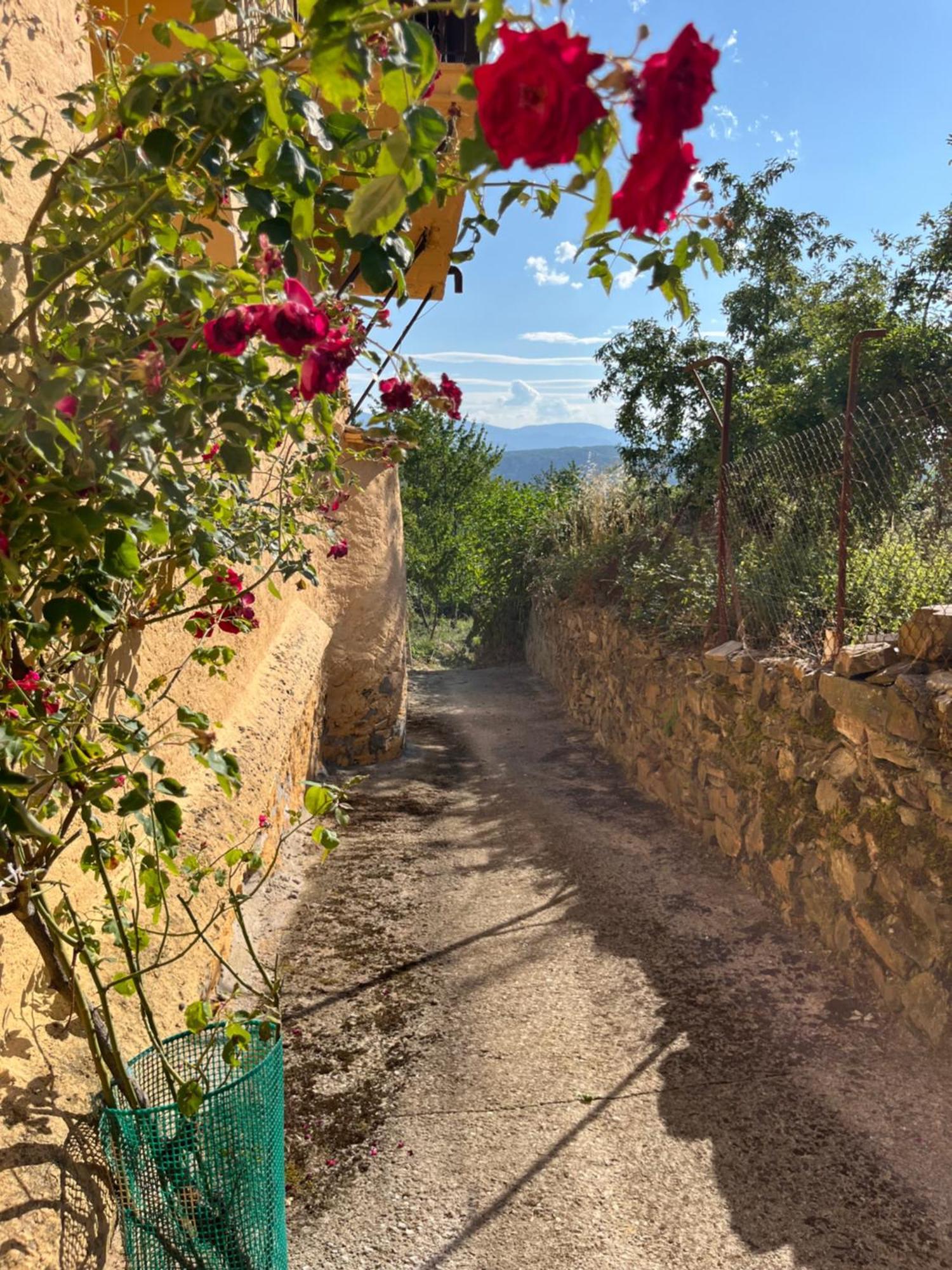 La Casina De Gelo Villa Riego de Ambros Dış mekan fotoğraf
